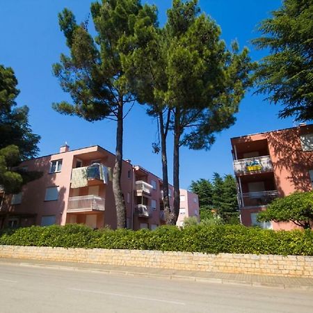 Roza Apartment Novigrad Istria 외부 사진
