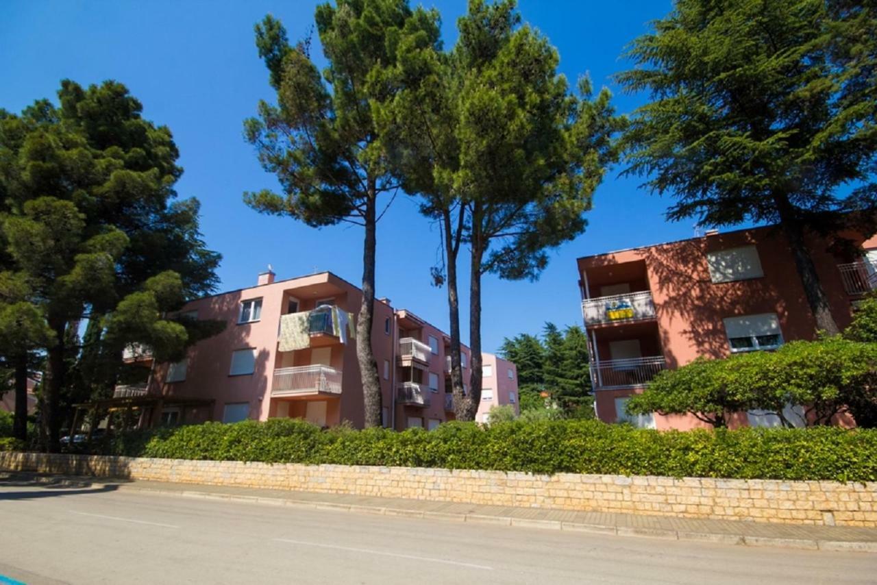 Roza Apartment Novigrad Istria 외부 사진